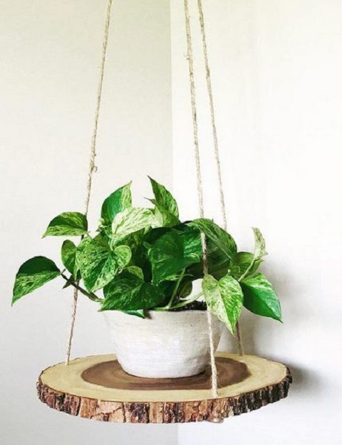 DIY Rope and Stump Hanger for Pothos