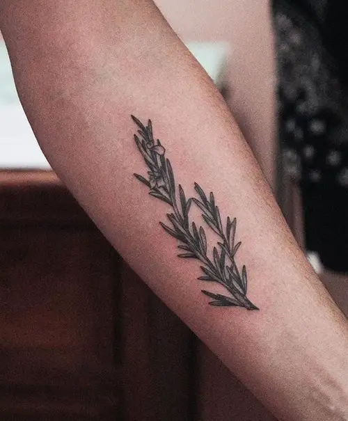 Shaded Rosemary Ink