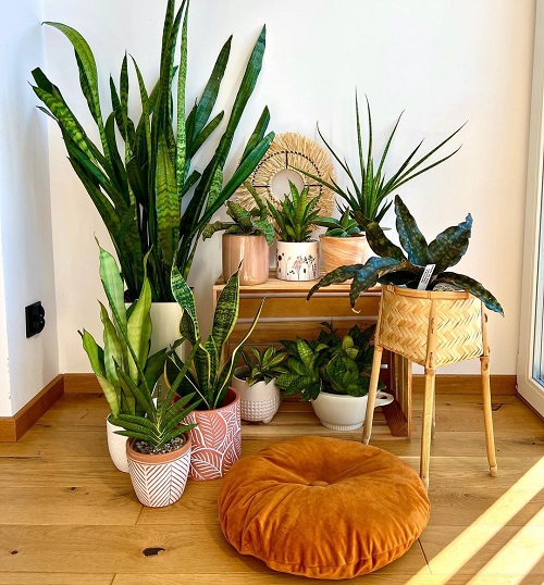 Diy Weaving Plant Stand with Upcycled Table