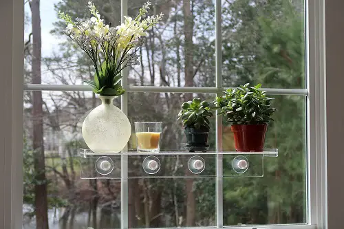 Clever Ways to Grow More Plants on a Windowsill