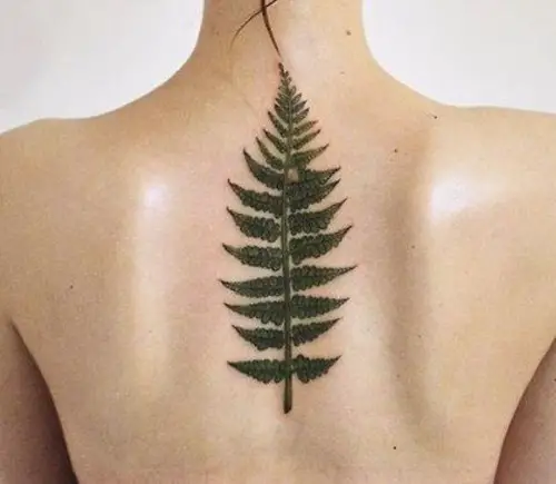 Feminine Fern Along the Upper Back tattoo