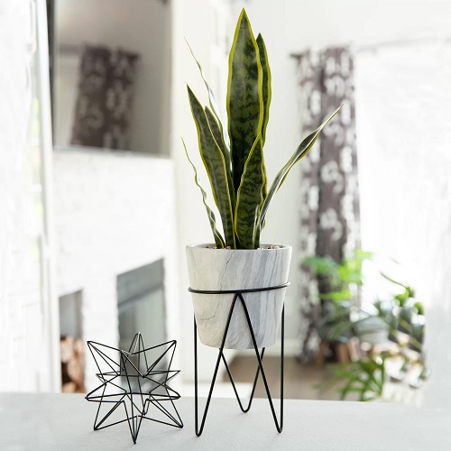 Metal Wire Stand for Tabletops