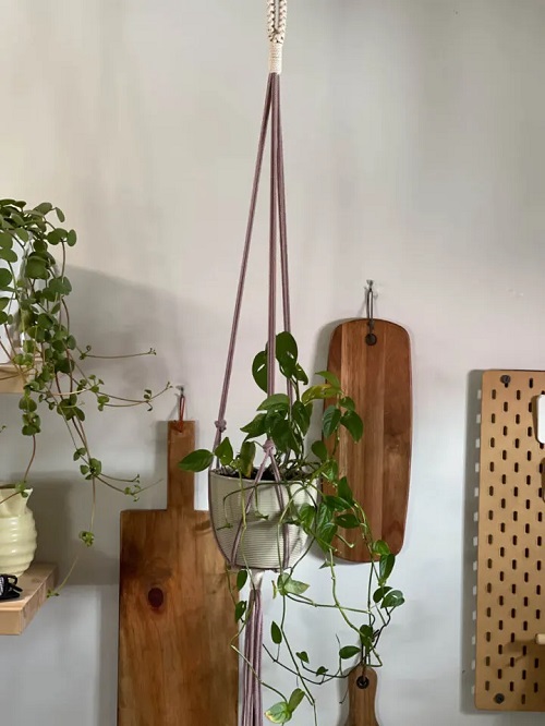 DIY Pothos Macrame without Ring