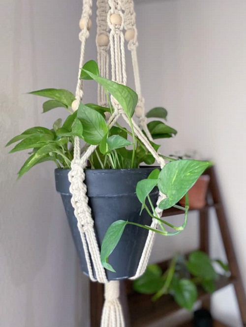DIY Pothos Hanger with Beaded Macrame