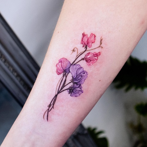 April Birth Flower Sweet Pea