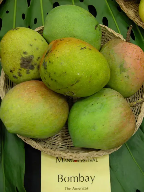 Most Delicious Mango Varieties Worldwide