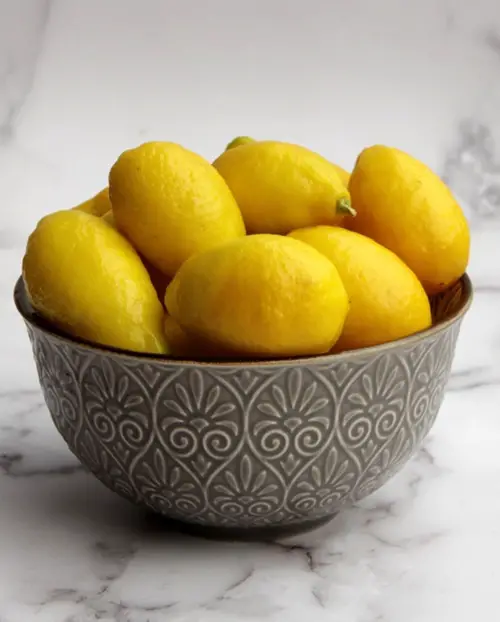 Man Made Fruits in bowl 