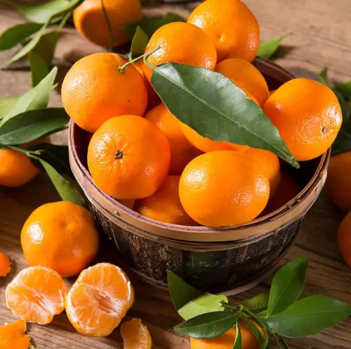 best Man Made Fruits 