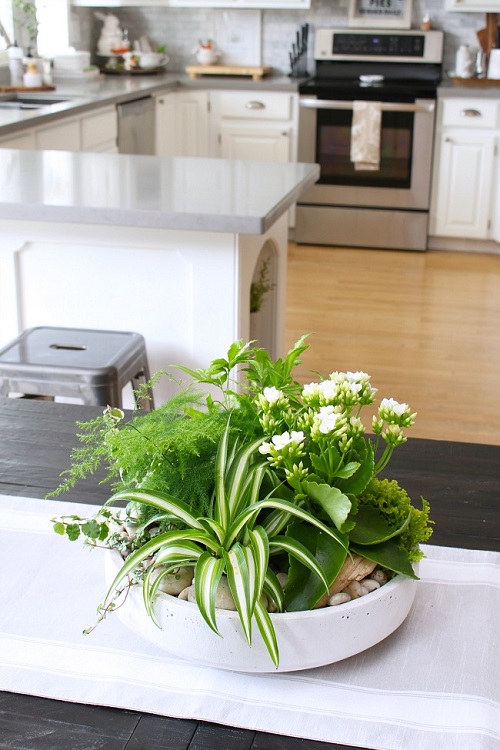 beautiful Tropical Tabletop Garden