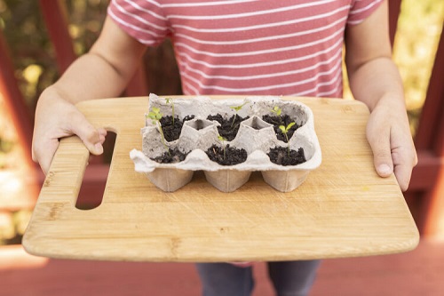 Tabletop Egg Carton Seed Starter Garden