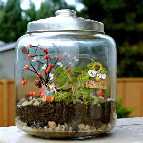 DIY Tabletop Indoor in a Terrarium Fairy Garden 5