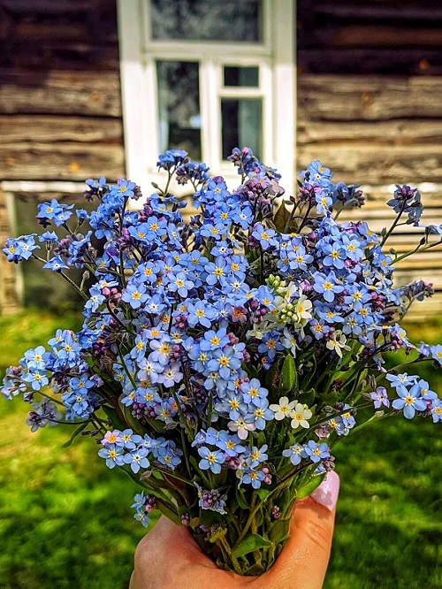 Sending Everlasting Flowers