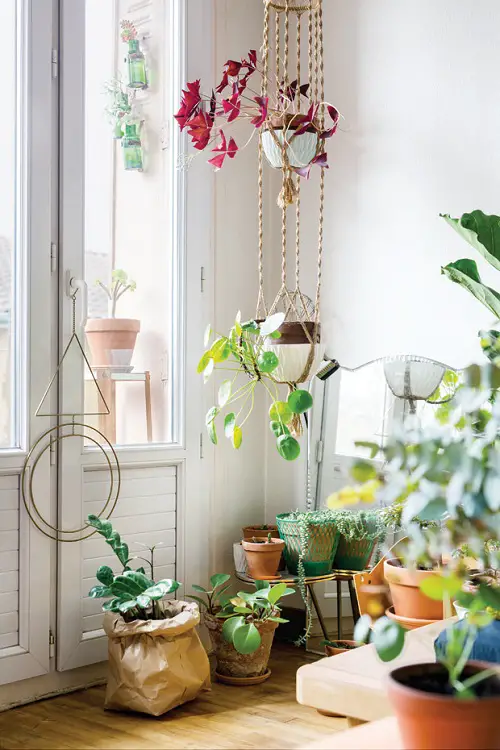 hanging Planter Grow More Plants on a Windowsill 2