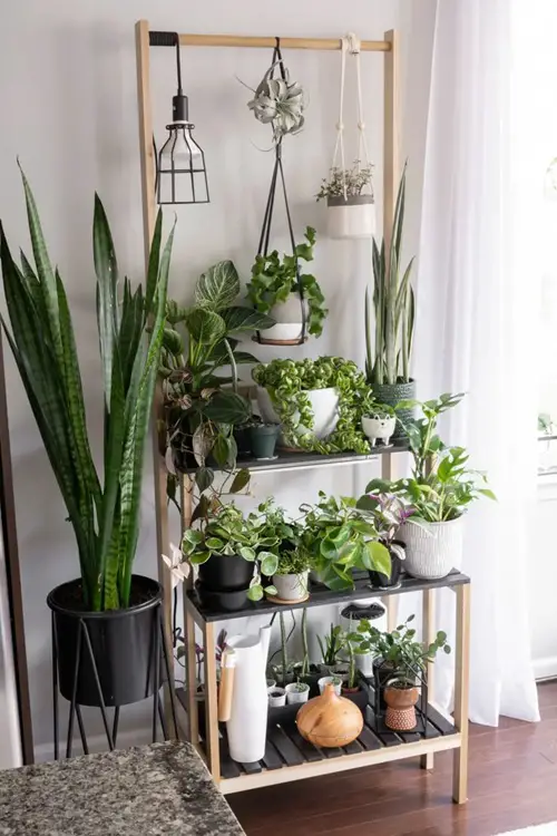diy Hanging Tiered Plant Stand