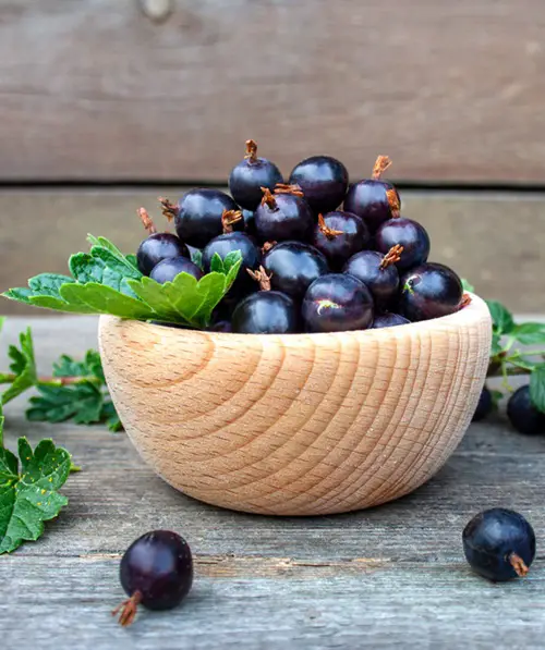 Fruits Man-Made That Will Astonish You in wooden Bowl