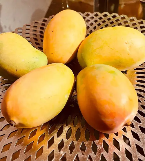 Amazing Most Delicious Mango Varieties Worldwide