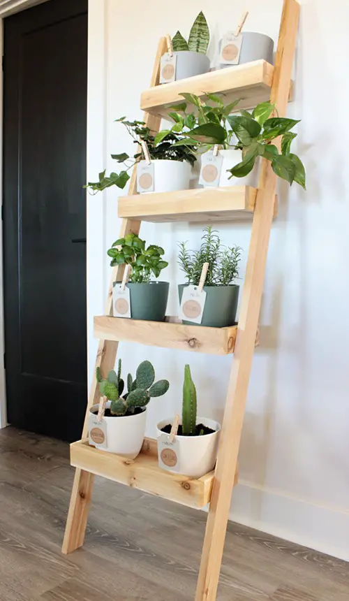 DIY Ladder Shelf Plant Stand