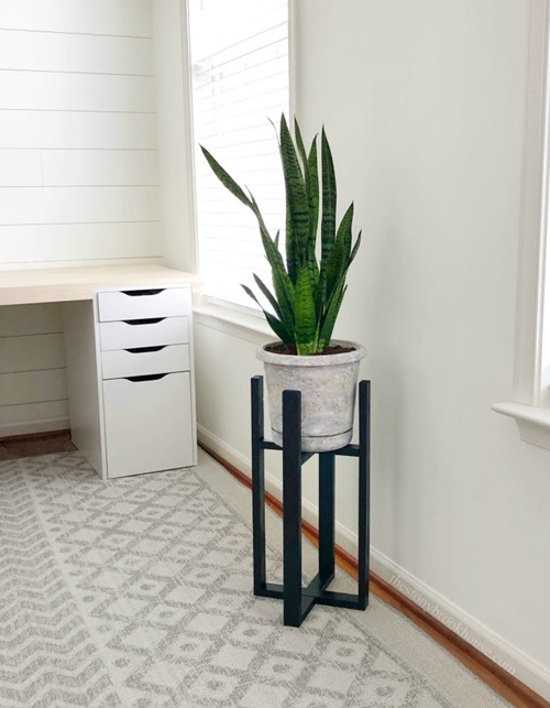 Modern Snake Plant Stand