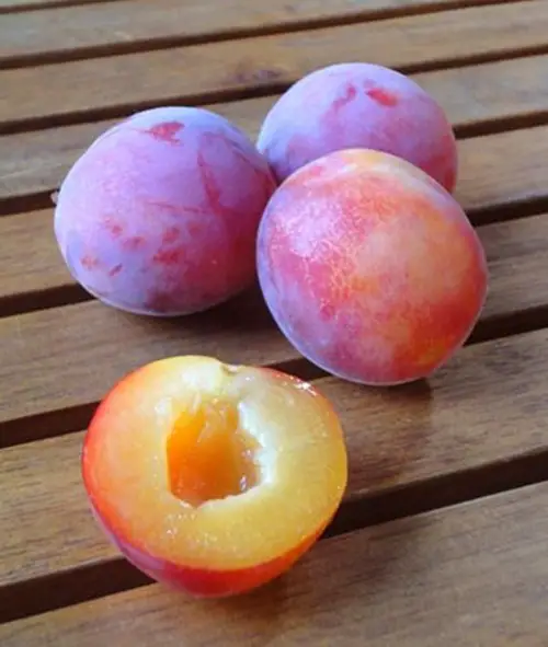Fruits Man-Made That Will Astonish You