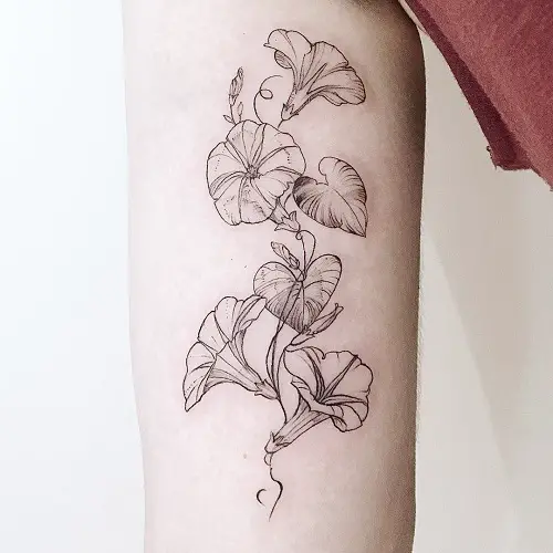 Petunia Pencil Drawing Design Tattoo 17
