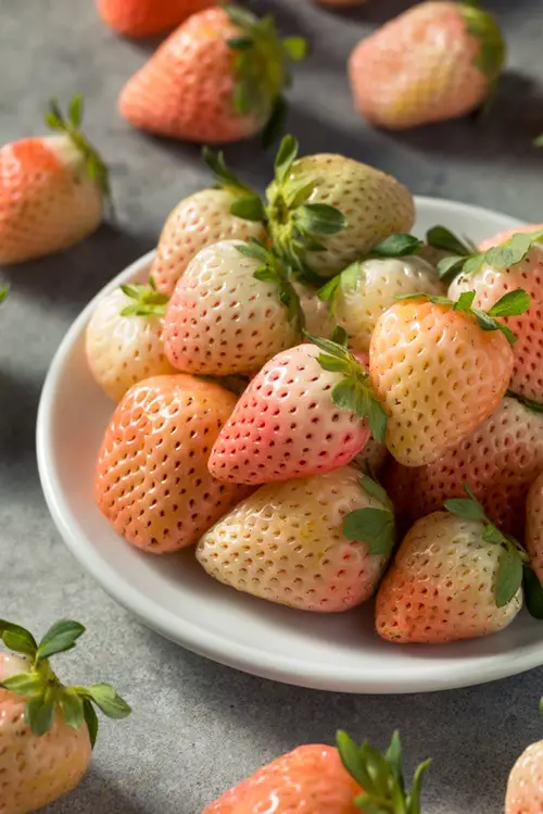 amazing Fruits Man-Made That Will Astonish You