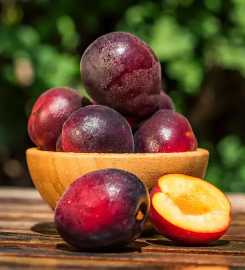 best Man Made Fruits that Will Surprise You