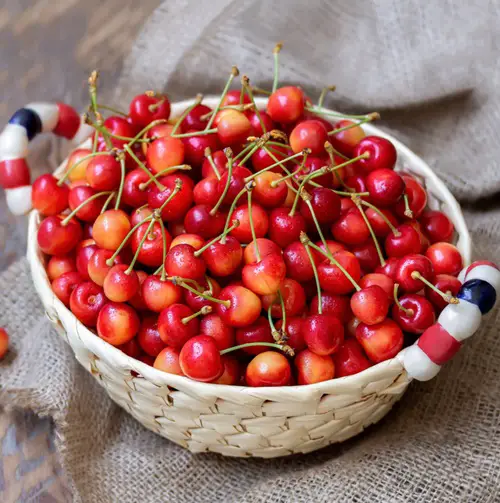 top Fruits Man-Made That Will Shock You