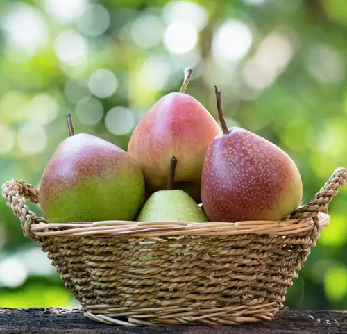 Fruits Man-Made That Will Shock You