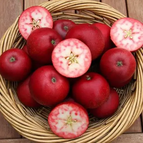 best Fruits Man-Made That Will Astonish You