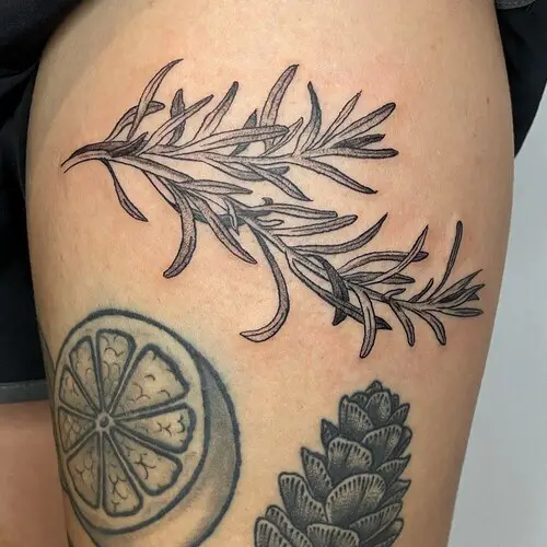 Rosemary and Pinecone Tattoo