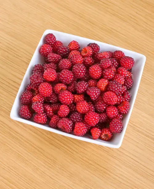 Man-Made Fruits