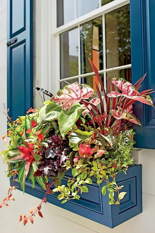 Seasonal Swaps Grow More Plants on a Windowsill 12