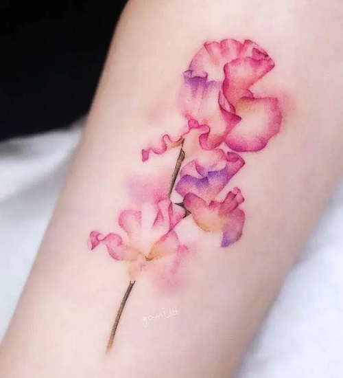 Sweet Pea No Outline Tattoo Idea