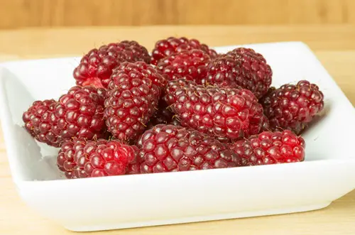 amazing Surprise-Inducing Man-Made Fruits