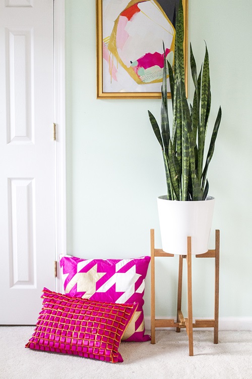 Upcycled Stand for Snake Plant