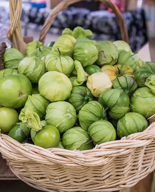 Man-Made Fruits That Will Shock You