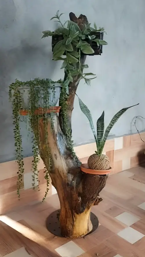 diy Tree Branch Plant Stand
