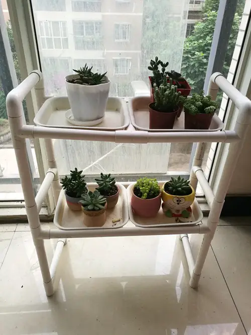 Diy PVC Pipe Plant Stand
