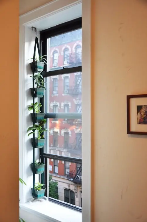 ledge garden Grow More Plants on a Windowsill