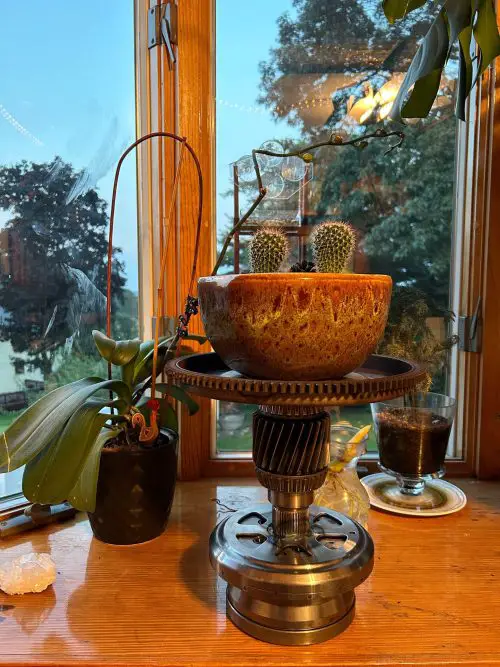 A 360-degree Garden Grow More Plants on a Windowsill