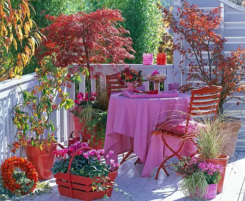 Tall Plants for Balcony Privacy 