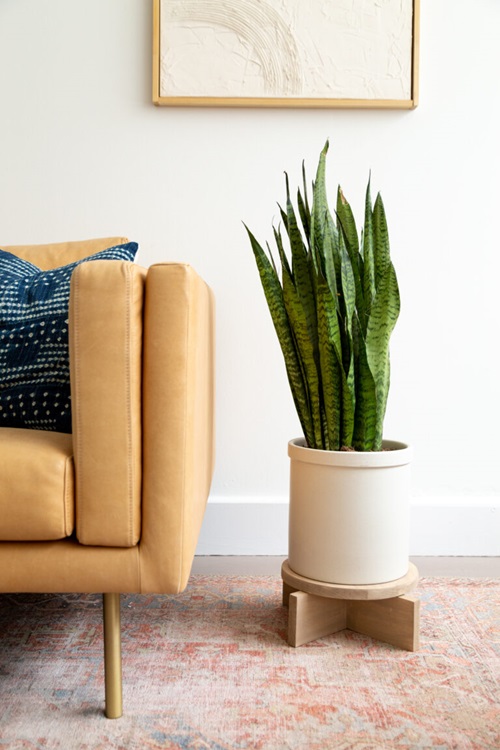 DIY Wood Plant Stand