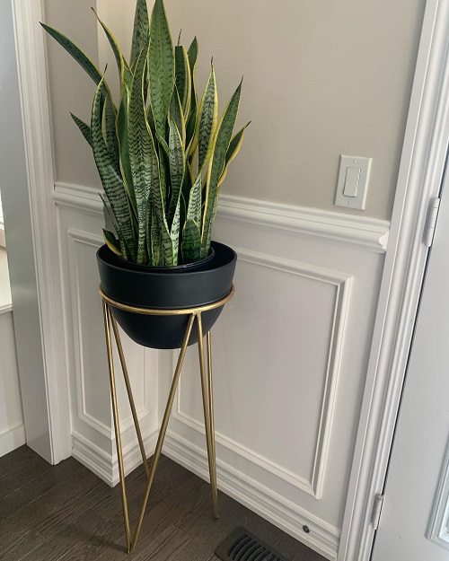 diy plant stand ideas