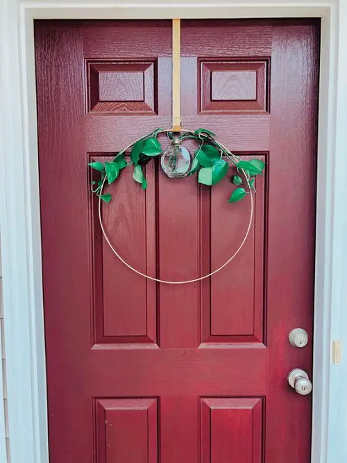 DIY Living Pothos Wreath