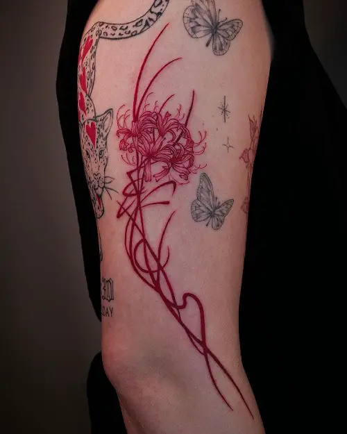 Dark Red Spider Lilies With Butterfly