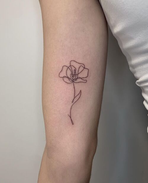 Poppy Flower Tattoo Scribble
