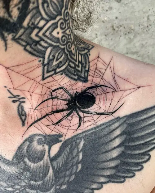 Spider Tattoo and Web on Collarbone