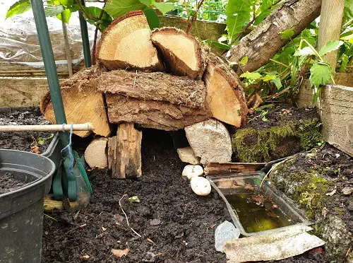 diy Wooden Logs Frog House