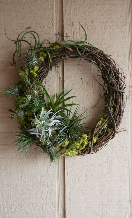 Grapevine and Air Plant Wreath