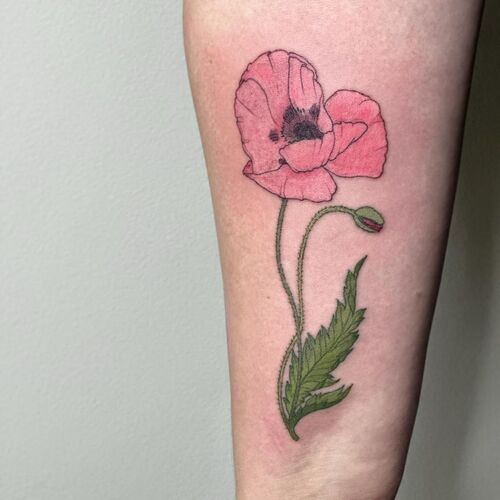 Soft Poppy Ink Design
